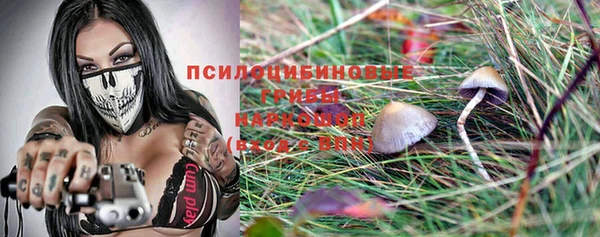 сатива Остров