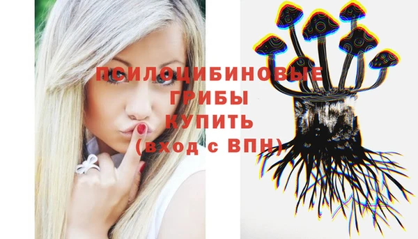 прущий лед Алексин