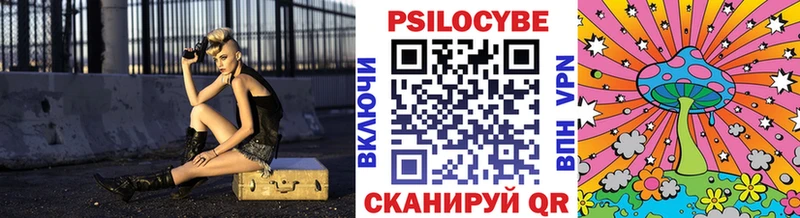 как найти закладки  Аткарск  Галлюциногенные грибы Cubensis 
